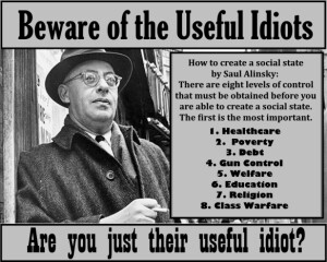 useful-idiot