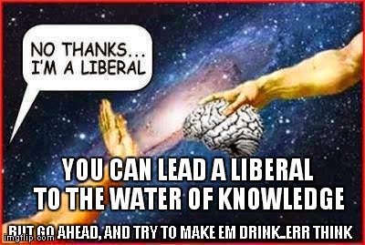tony meme liberal brain[1]