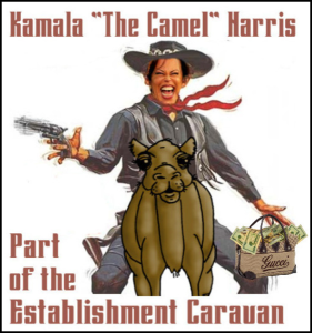kamala camel cowgirl